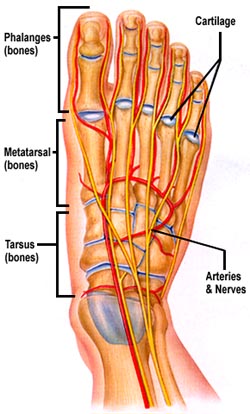 arthritis in foot